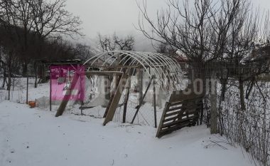 Jabllanica e vogël me dëme të mëdha nga era dhe reshjet e borës (Foto)