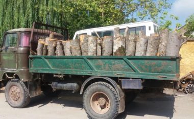 Vazhdon transportimi ilegal i druve në Podujevë