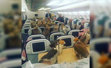 “Çfarë bën zengjini, çuditet fukaraja”: Princi saudit paguan biletat e aeroplanit për 80 zogj (Foto)