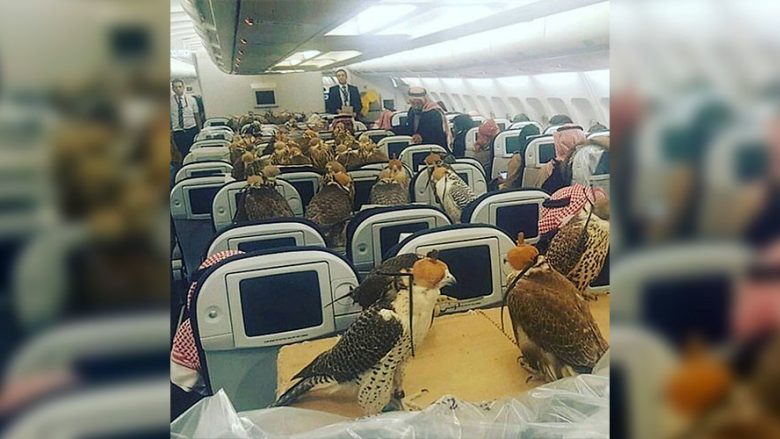 “Çfarë bën zengjini, çuditet fukaraja”: Princi saudit paguan biletat e aeroplanit për 80 zogj (Foto)