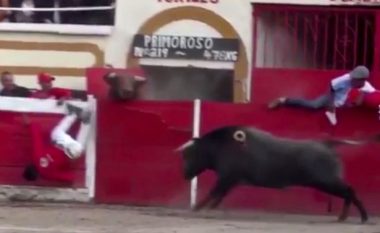 Demat u ikin kujdestarëve, e pësojnë keq matadorët dhe qytetarët e habitur (Foto/Video, +18)