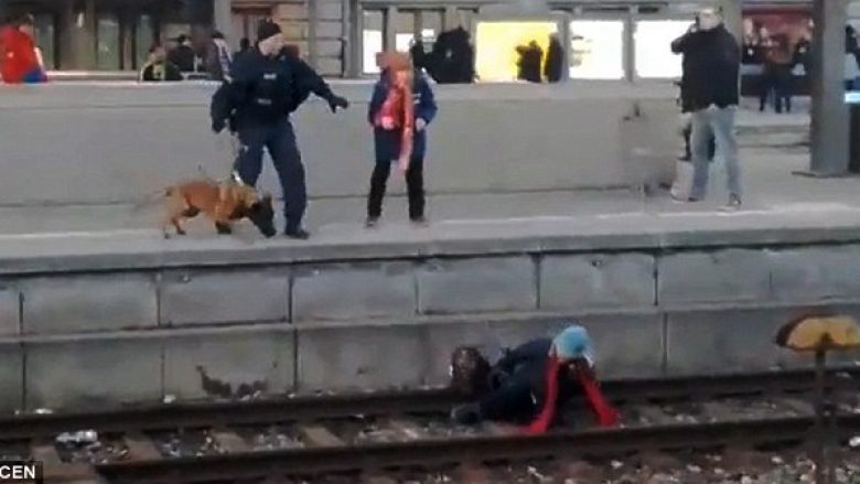 Gruaja sulmohet nga qeni agresiv i policisë, dhe përfundon me këmbë të thyer në binarët e trenit (Foto/Video, +16)