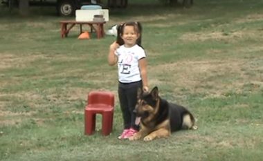 Ky qen është stërvitur për të mbrojtur këtë vogëlushe nga keqbërësit (Video)