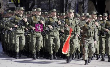 S’ka vullnet që Kosova të bëhet me Ushtri?
