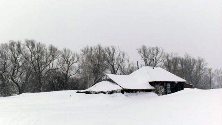 Qeni shpëton fëmijën e braktisur nga nëna në minus 20 gradë (Foto)