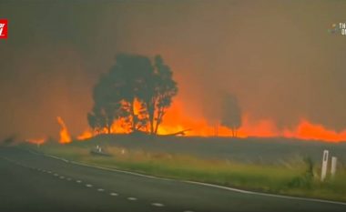 “Përvëlohet” Australia, 97 vatra zjarri dhe temperatura deri në 45 gradë celsius (Video)