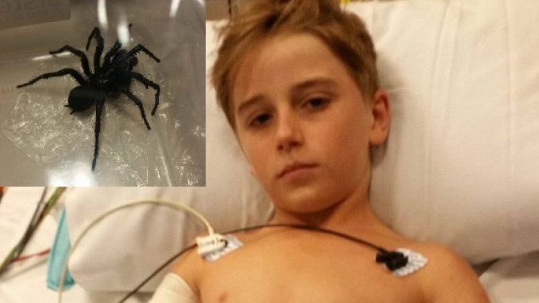Edhe pse përjetoi tmerrin, mbijeton dhjetëvjeçari që u pickua nga merimanga më e rrezikshme në botë (Foto)