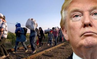 Nis dëbimi i emigrantëve ilegalë, panik në gjithë Amerikën
