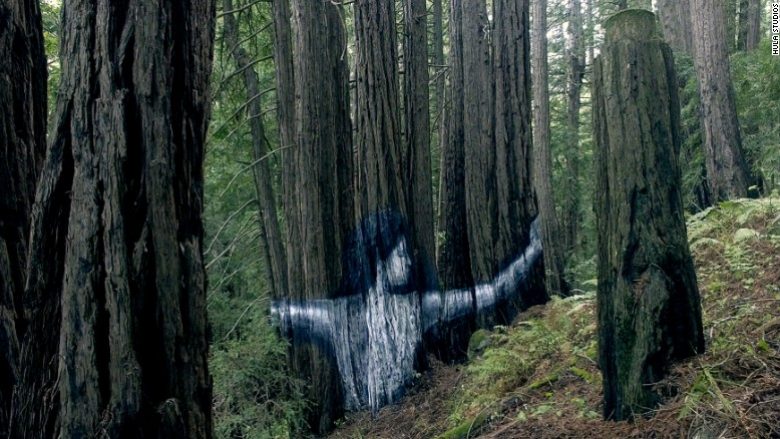 “Magjia” në mal dhe artisti unik: “Murali” i fshehur mes drurëve! (Foto/Video)