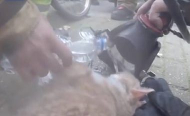 Zjarrfikësit e “kthejnë në jetë” macen e nxjerrë nga ndërtesa e përfshirë nga zjarri (Video)