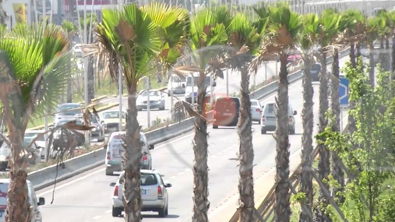 I heqin palmat në autostradën Tiranë-Durrës (Foto-Video)