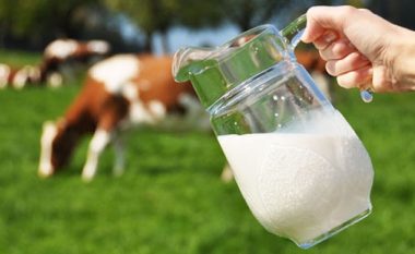 Qeveria e Kosovës vazhdon përkrahjen për sektorin e qumështit