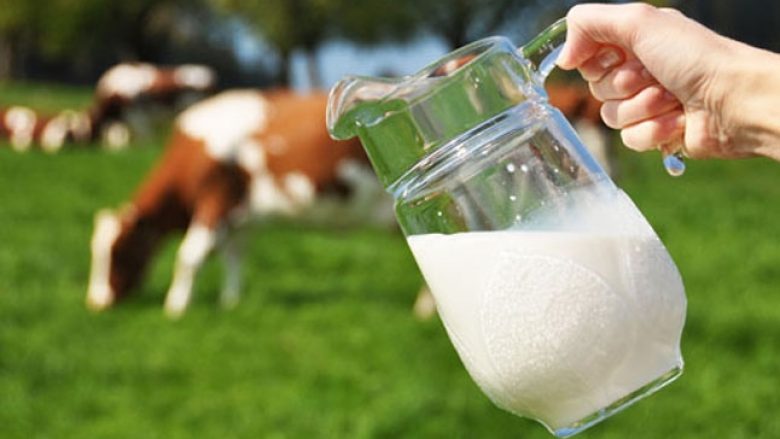 Qeveria e Kosovës vazhdon përkrahjen për sektorin e qumështit