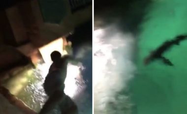 I dehuri vendosi të hidhet në pishinë plot peshkaqenë, me të prekur ujin pendohet (Video)