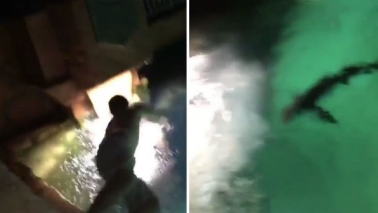 I dehuri vendosi të hidhet në pishinë plot peshkaqenë, me të prekur ujin pendohet (Video)