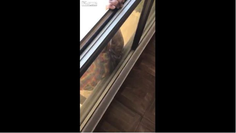 Momenti i rënies fatale nga dritarja: Ulërinte për ndihmë, xhirohet e nuk ndihmohet (Video, +18)