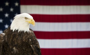 Si u bë shqiponja simbol kombëtar i Amerikës?