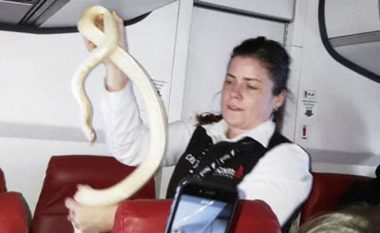 Gjarpër në aeroplan, tmerrohen pasagjerët (Video)