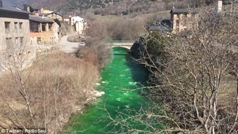 Banorët alarmohen nga uji i lumit që u bë tërësisht i gjelbër (Video)