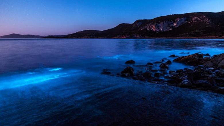 Bregdeti ndriçohet nga fenomeni i rrallë nënujor (Foto)