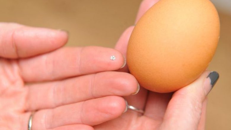Në vezën e zier gjeti një diamant (Foto)