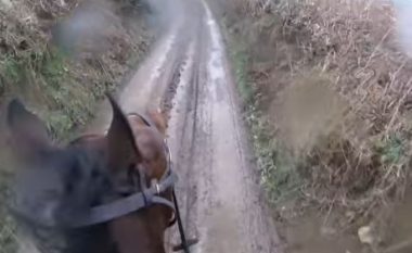 Pendohet që kalëroi sipër kalit të pensionuar nga garat (Video)