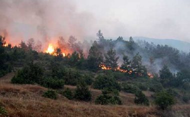 Zjarre aktive në Çashkë, Makedonski Brod dhe Rostushë