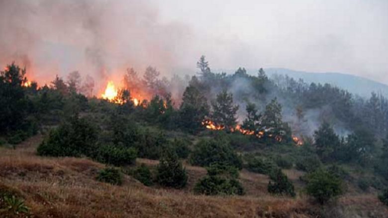 Zjarre aktive në Çashkë, Makedonski Brod dhe Rostushë