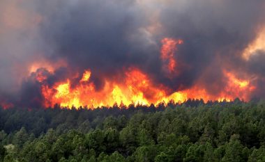 Zjarri në Berovë kaplon rreth 40 hektarë tokë