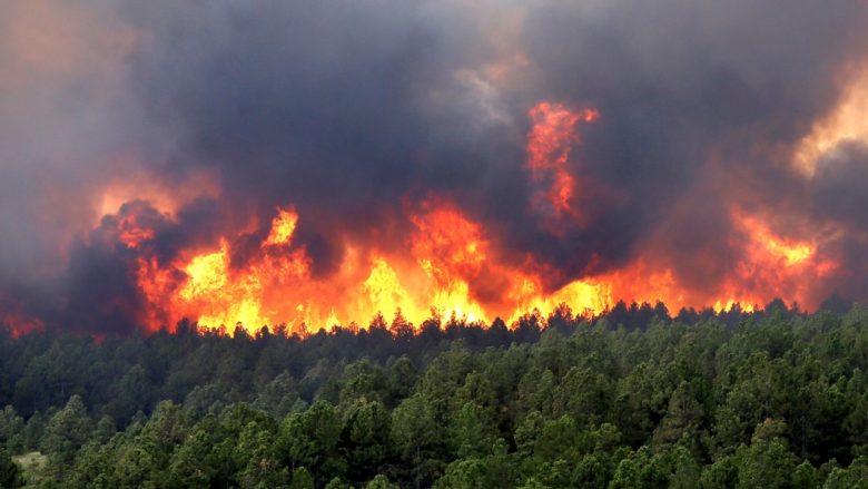 Zjarri në Berovë kaplon rreth 40 hektarë tokë