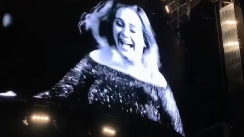 Adele sulmohet nga mushkonjat gjatë koncertit (Video)