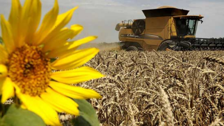 LSDM: Është rritur eksporti i prodhimeve bujqësore për tetë përqind