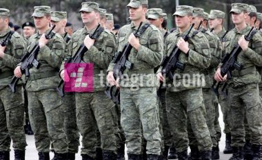 “Kosovës i duhet ushtri e NATO-s e jo e Thaçit, Veselit apo Mustafës”