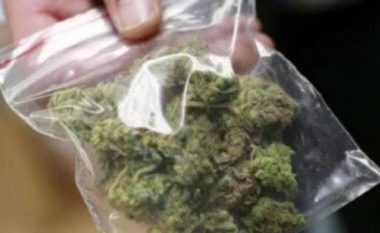 Në një shtëpi në Kamenicë konfiskohen mbi 2 kg marihuanë