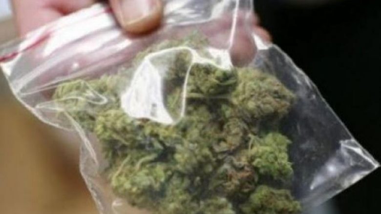 Në një shtëpi në Kamenicë konfiskohen mbi 2 kg marihuanë