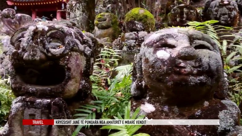 Skulpturat e lumtura të një tempulli në Kioto (Video)