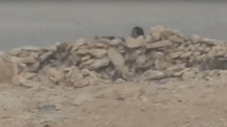 Pamje që tregojnë “zhdukjen” e terroristëve në Palmira të Sirisë (Video)