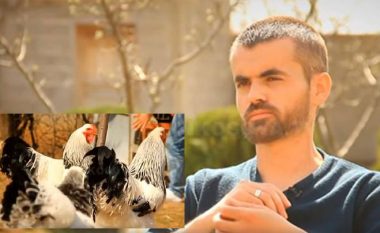 Flet pronari i pulave gjigante nga Kosova, të cilat u bënë të famshme edhe në botë (Video)