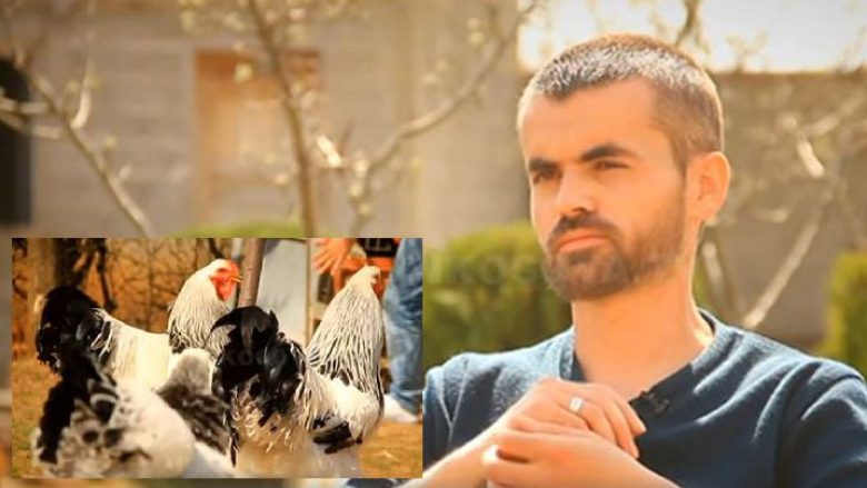 Flet pronari i pulave gjigante nga Kosova, të cilat u bënë të famshme edhe në botë (Video)