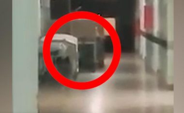 “Fantazma ishte fshehur pas shtratit”, i gjithë spitali në panik (Video)