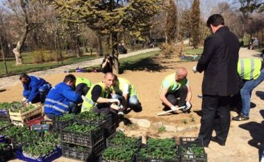 Komuna e Prishtinës mbjell lule në ditën e Pranverës