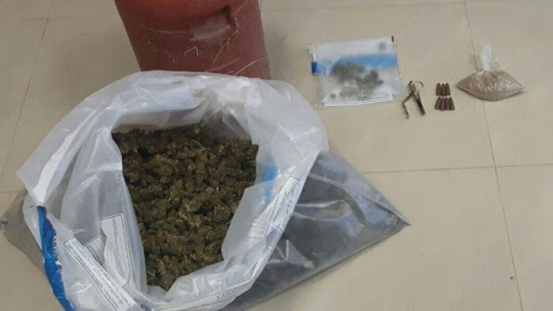 Sekuestrohen 8550 fara cannabis sativa në Lushnje
