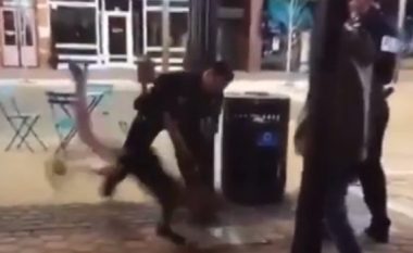 Momenti kur polici përplas 22-vjeçaren me fytyrë për tokë (Video, +18)