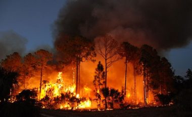 Florida shpall gjendjen e jashtëzakonshme për shkak të zjarrit