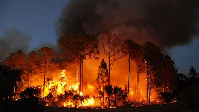 Florida shpall gjendjen e jashtëzakonshme për shkak të zjarrit