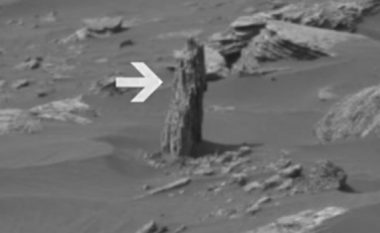 Gjendet copëz druri në Mars (Video)