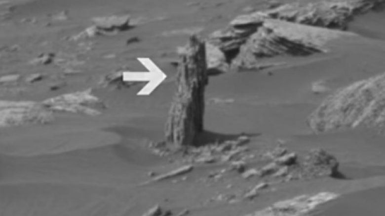 Gjendet copëz druri në Mars (Video)