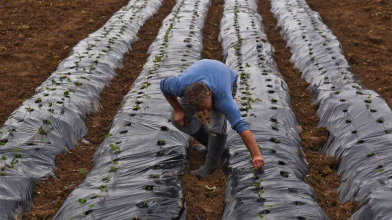 Kosova pa ekonomi të fortë prodhuese