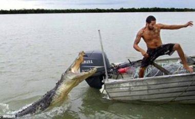 Të shpëtosh për pak centimetra nga më e keqja – dhjetë fotografi që e tregojnë më së miri këtë! (Foto)