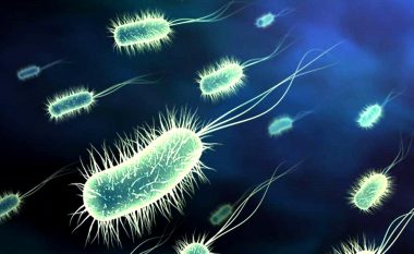 Prania e bakteries në ushqim helmoi punëtorët e ”Lear”